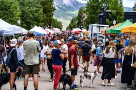 vacation rental condos in crested butte colorado